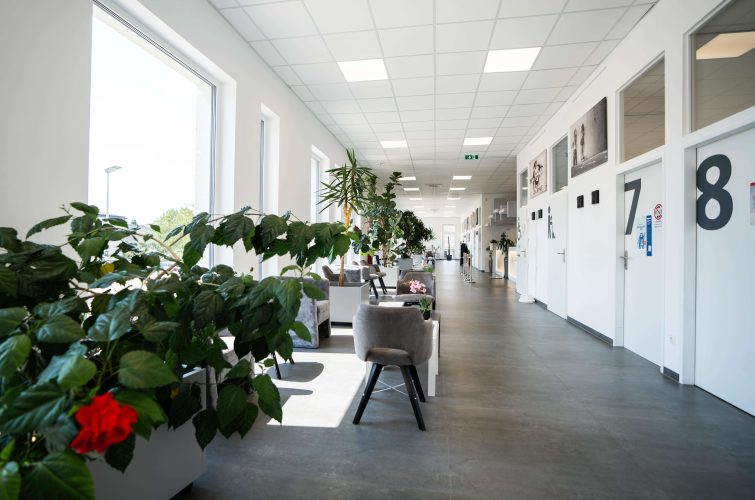 Innenansicht des Flurs in der Radiologiepraxis Oberpullendorf mit modernen Möbeln und Pflanzen