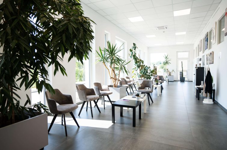 Modernes Wartezimmer in der Radiologiepraxis Oberpullendorf mit Pflanzen und gemütlichen Sitzplätzen