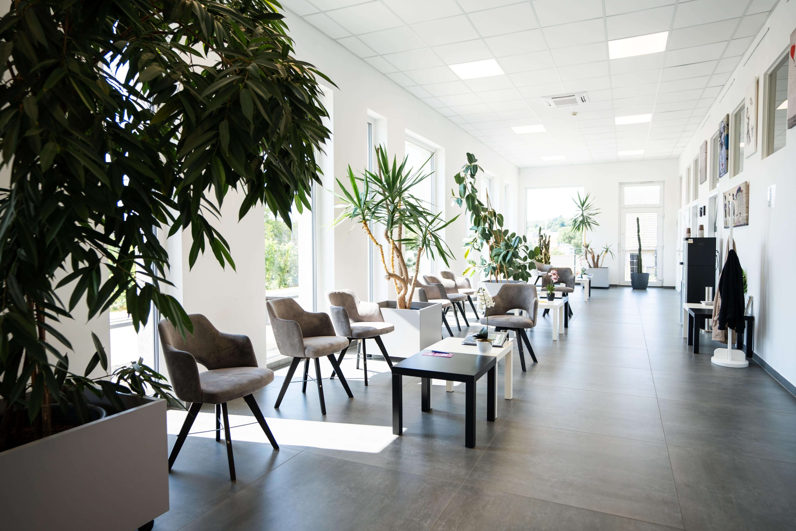Wartezimmer in der Radiologiepraxis Oberpullendorf - Helle und einladende Atmosphäre Modernes Wartezimmer in der Radiologiepraxis Oberpullendorf mit Pflanzen und gemütlichen Sitzplätzen